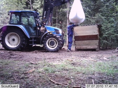 metsakaamera 346.jpg