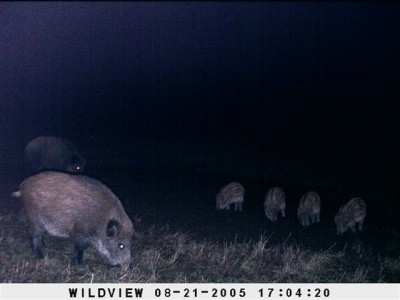 Kaamera 2010_11_06 003.jpg