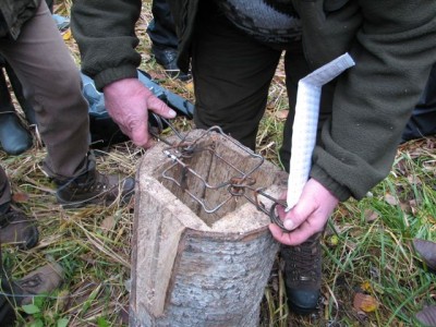 Koolituspäev_26_10_07 004.jpg