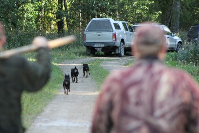 Kopra jahti minek.JPG