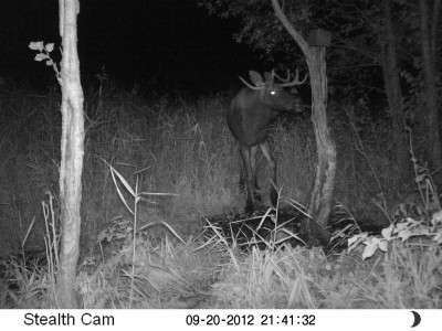 Valiklaskmiseks sobilik