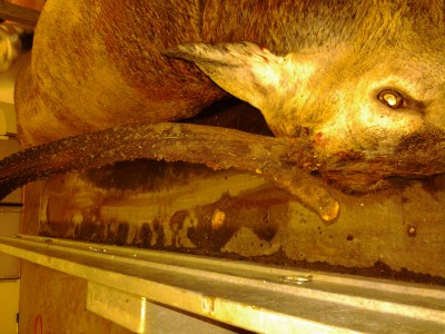 2012-09-18 10.25.22.jpg