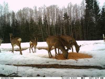 IMAG0175 (1024x768).jpg