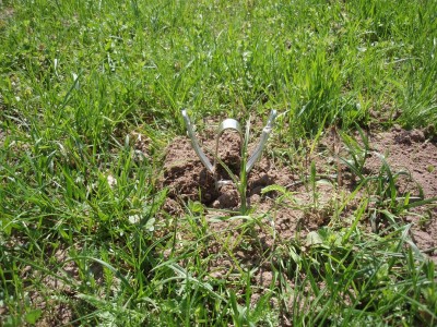 Lõksupüük 001.JPG