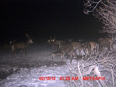 MDGC0029.JPG (834.74 KiB) Vaadatud 1154 korda MDGC0029.JPG