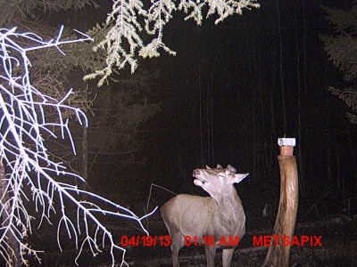 MDGC0010.JPG (825.34 KiB) Vaadatud 788 korda MDGC0010.JPG