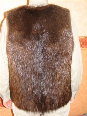 Vest_02_04_08 004.jpg