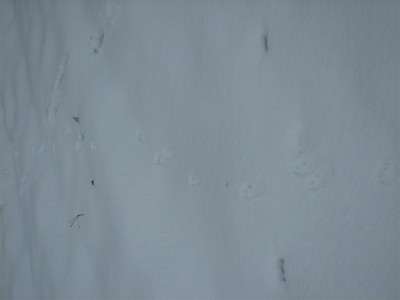 Kaamera 24_12_08 023.jpg