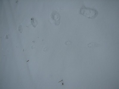 Kaamera 24_12_08 021.jpg