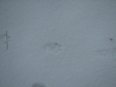 Kaamera 24_12_08 017.jpg