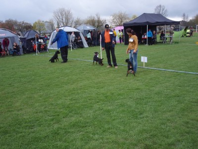 Türi näitus2014 004.JPG