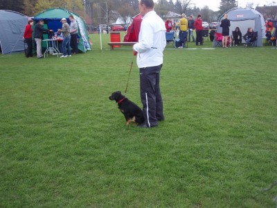 Türi näitus2014 005.JPG