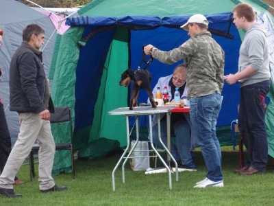 Türi näitus2014 006.JPG