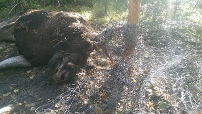 2014-09-28 13.49.06_2.jpg