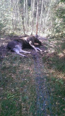 2014-09-28 13.47.46_2.jpg