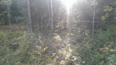 2014-09-28 13.48.21_2.jpg