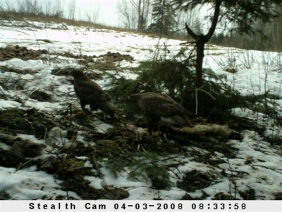 Kaamera 05_04_08 022.jpg