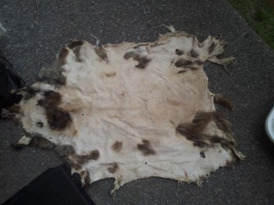 Sellise naha eest küsis 10€