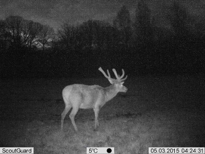 PIC.JPG (55.29 KiB) Vaadatud 3336 korda PIC.JPG