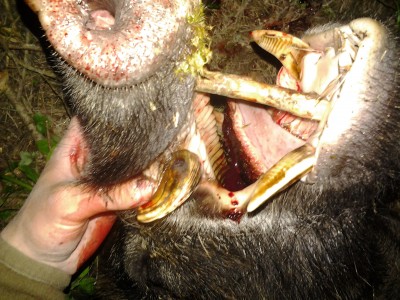 2015-05-25 23.44.36.jpg