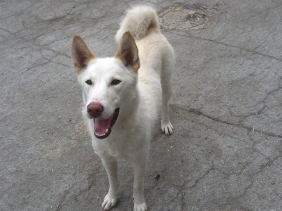 image.jpg (238.92 KiB) Vaadatud 2506 korda image.jpg