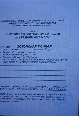 Külanõukogu propusk