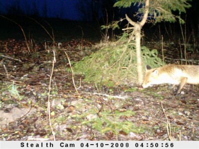 Kaamera 13_04_08 058.jpg