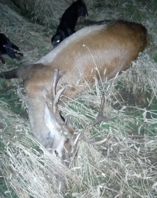 IMG_20170901_002436 (638x800).jpg