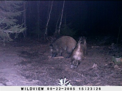 Kaamera 16_04_08 253.jpg