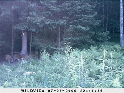 Kaamera 12_07_09 072.jpg