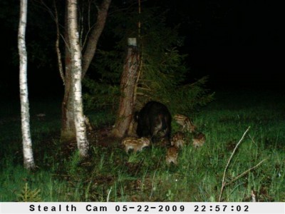 Kaamera 27_05_09 006.jpg