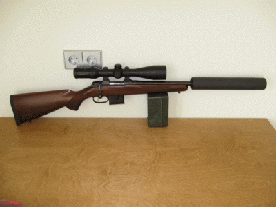 grendel 6,5 mm.gif