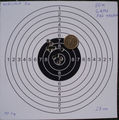 gamo pro magnum 20m.jpg