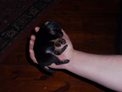 Alles nad mahtusid peo peale magama.